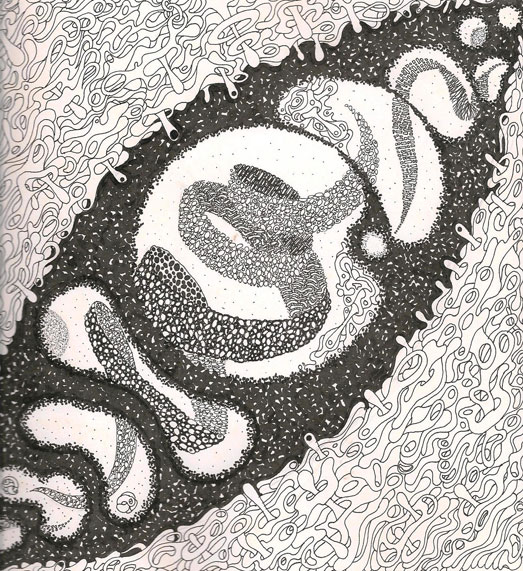 Video Project Postformat