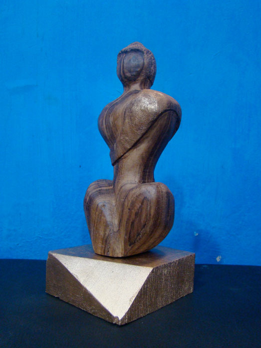 Video Project Postformat